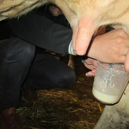 格尔霍夫酒店 *